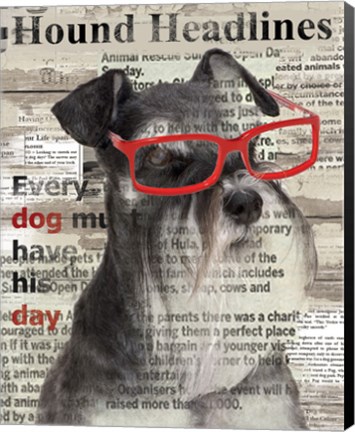 Framed Hound Headline Print