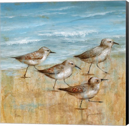 Framed Sandpipers I Print