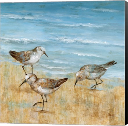 Framed Sandpipers II Print