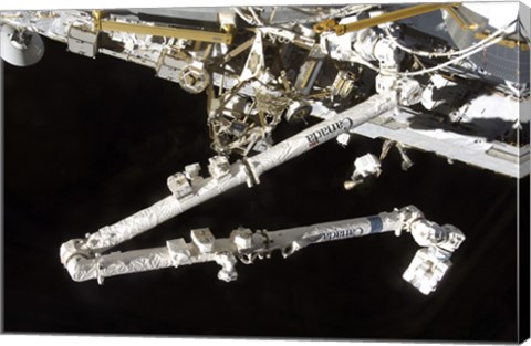 Framed Canadian-Built Space Station Remote Manipulator System (Canadarm2), during Undocking AWctivities Print
