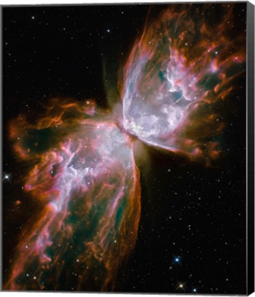 Framed Butterfly Nebula Print