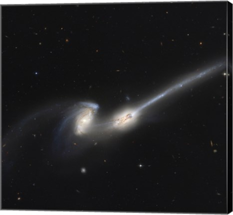 Framed NGC 4676, also Known as the Mice Galaxies Print