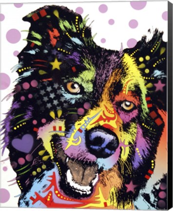 Framed Border Collie 1 Print