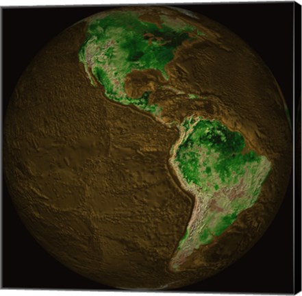 Framed Topographic Map of Earth Print