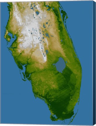 Framed Southern Florida Print