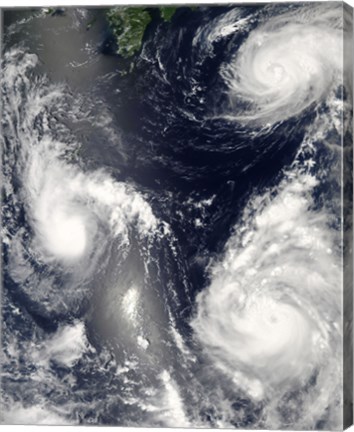 Framed Three different Typhoons Spinning over the Western Pacific Ocean Print