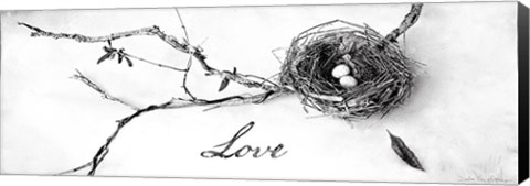 Framed Nest and Branch II Love Print