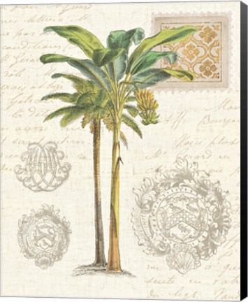 Framed Vintage Palm Study I Print