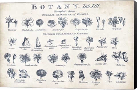 Framed Botany Tab VIII Indigo and White Print