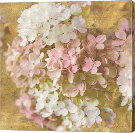 Framed Gilded Hydrangea II Print