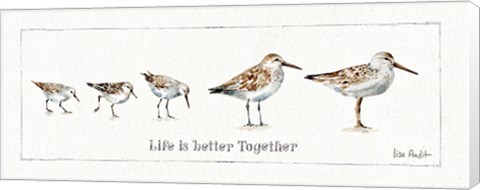 Framed Pebbles and Sandpipers I Print