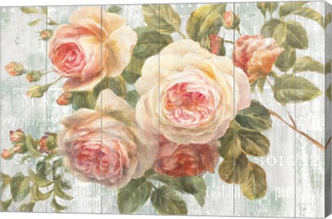 Framed Vintage Roses on Driftwood Print