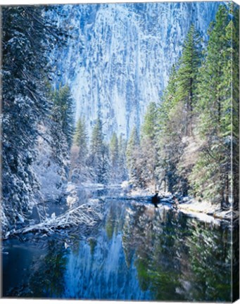 Framed Winter trees along Merced River, Yosemite Valley, Yosemite National Park, California Print