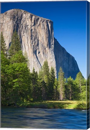 Framed El Capitan and Merced River Yosemite NP, CA Print