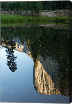 Framed Reflection of El Capitan in Mercede River, Yosemite National Park, California - Vertical Print