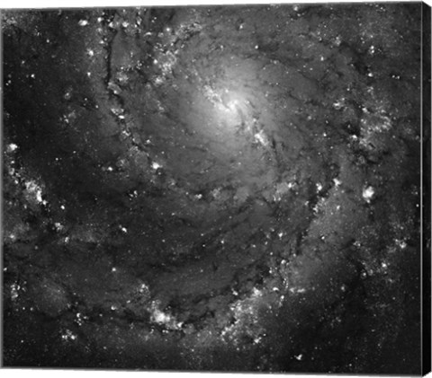 Framed Hubble Space Telescope Imaging of Hot Gas and Star Birth in M101 Print