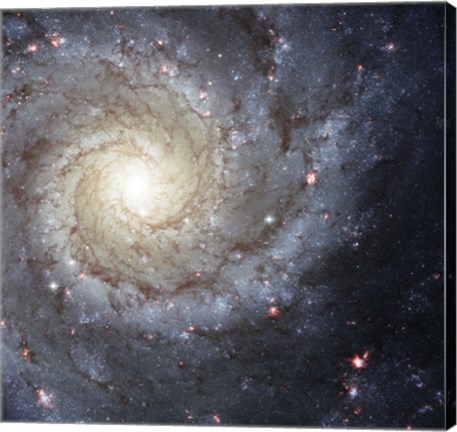 Framed Spiral Galaxy M74 Print