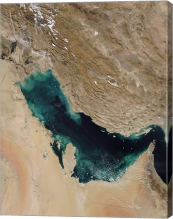 Framed Satellite View of the Persian Gulf Print