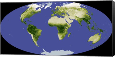 Framed Normalized Difference Vegetation Index Print