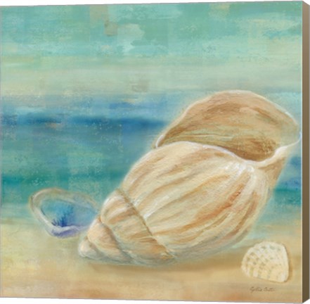 Framed Horizon Shells II Print