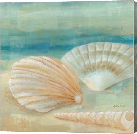 Framed Horizon Shells IV Print