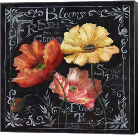 Framed Flowers in Bloom Chalkboard II Print