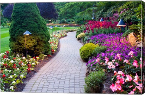 Framed Path and Flower Beds in Butchart Gardens, Victoria, British Columbia, Canada Print