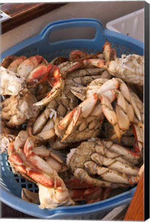 Framed Dungeness Cooked Crab, Queen Charlotte Islands, Canada Print