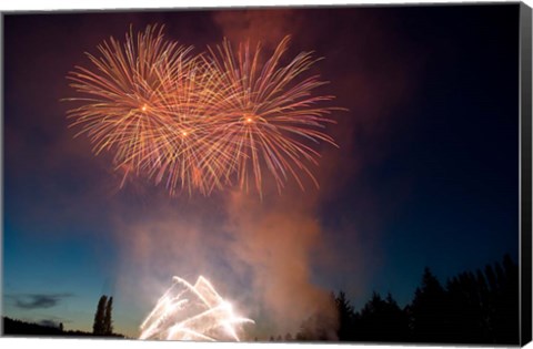 Framed British Columbia, Victoria, Fireworks Show Print