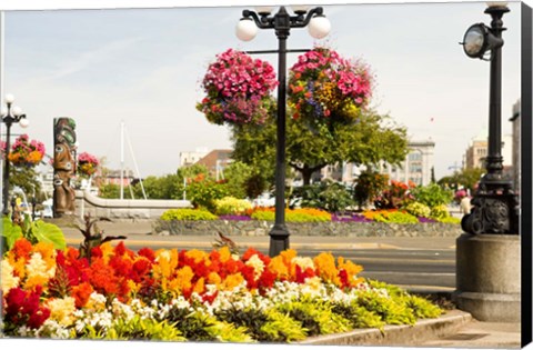 Framed Hanging Flower Baskets, Victoria, BC Print