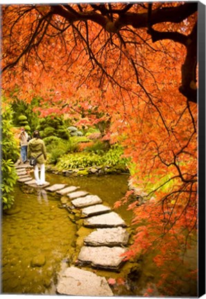 Framed Japanese Garden, Butchart Gardens, Victoria, BC Print