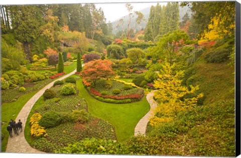 Framed Sunken Garden, Butchart Gardens, Victoria, BC Print