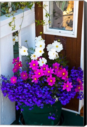 Framed British Columbia, Victoria, Flower Pot Print