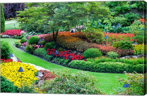 Framed Butchart Gardens in Full Bloom, Victoria, British Columbia, Canada Print