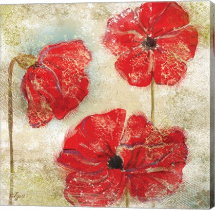 Framed Poppy Passion II Print