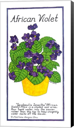 Framed African Violet Print