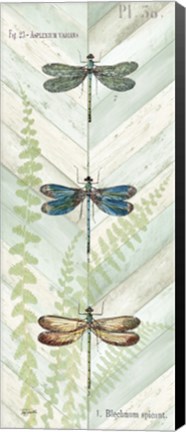 Framed Dragonfly Botanical Panels I Print