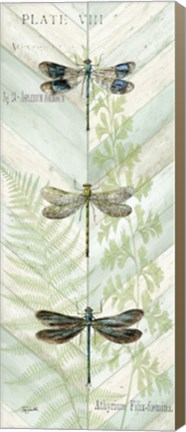 Framed Dragonfly Botanical Panels II Print