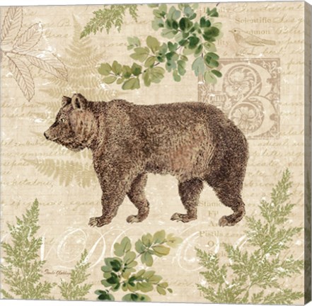 Framed Woodland Trail II (Bear) Print