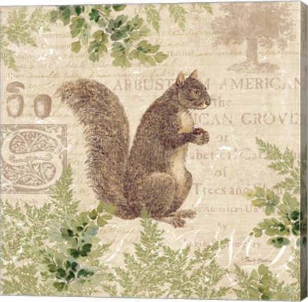 Framed Woodland Trail III (Squirrel) Print