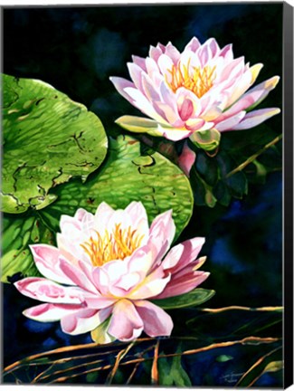 Framed Waterlily Reflections Print