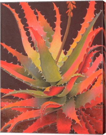 Framed Sunset Agave Print