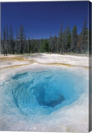 Framed Morning Glory Pool, Yellowstone National Park, Wyoming Print