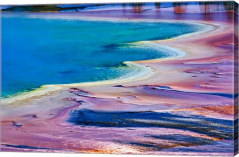 Framed Pattern in Bacterial Mat, Midway Geyser Basin, Yellowstone National Park, Wyoming Print