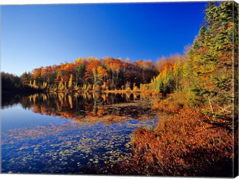 Framed Pond in the Chaquamegon National Forest, Cable, Wisconsin Print