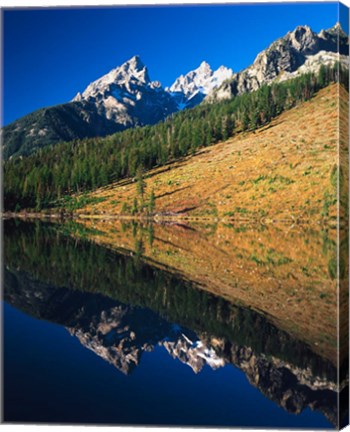 Framed Cathedral group reflecting in String Lake, Grand Teton National Park, Wyoming Print