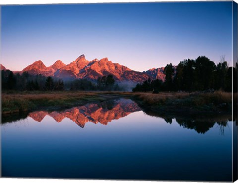 Framed Teton Range reflecting in Beaver Pond, Grand Teton National Park, Wyoming Print