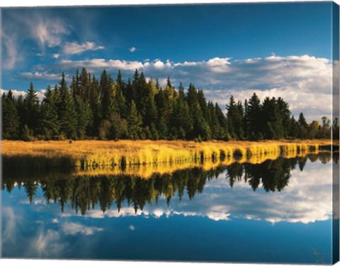 Framed Trees reflecting in Snake River, Grand Teton National Park, Wyoming Print