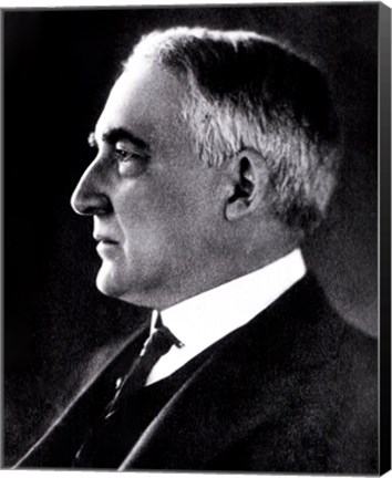 Framed Warren G. Harding, 29th President of the United States Print