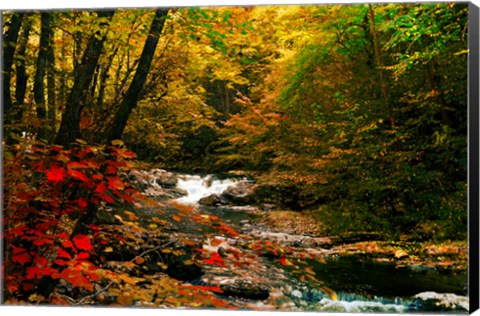 Framed Mountain Stream Print